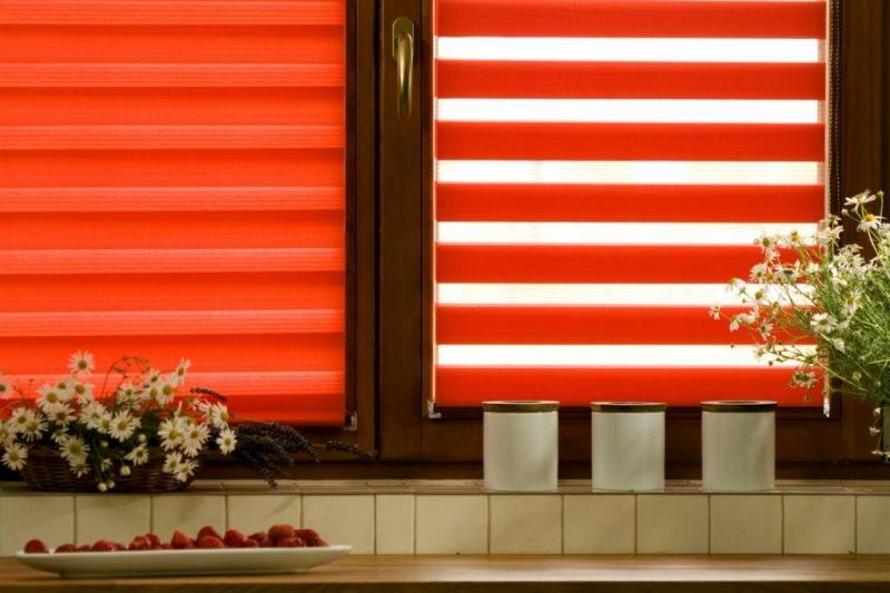 �������� ����� �����